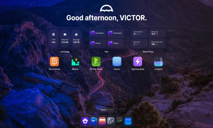 Bitcoin Umbrel Node, The Dashboard